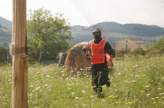  Jouer parmi les fleurs 